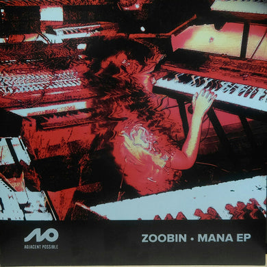 Zoobin ‎– Mana EP - (APR001)